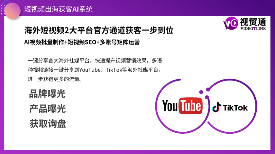 視貿通短視頻出海獲客AI系統(tǒng)